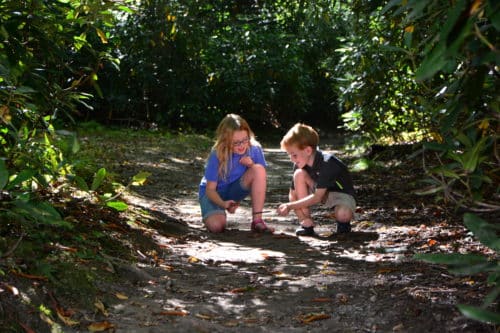 two kids crouched down on Boone Fork Trail looking at rocks