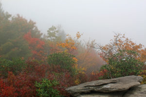 fall foliage hikes near blowing rock in the fog