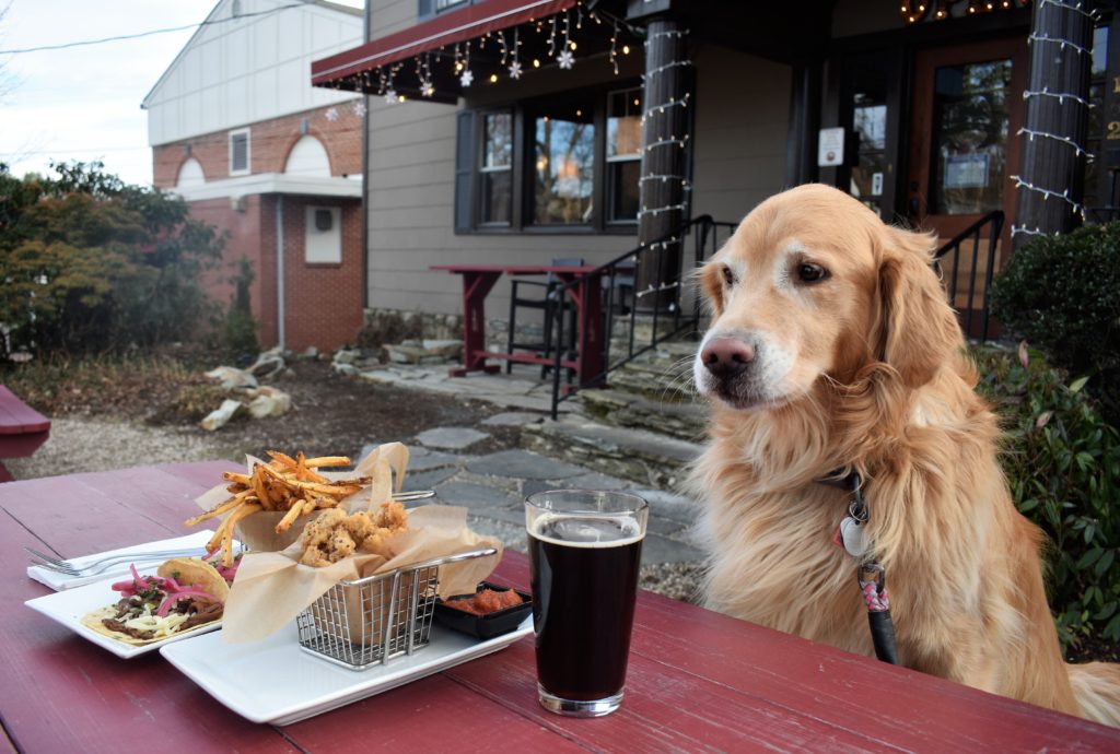 places to eat with your dog