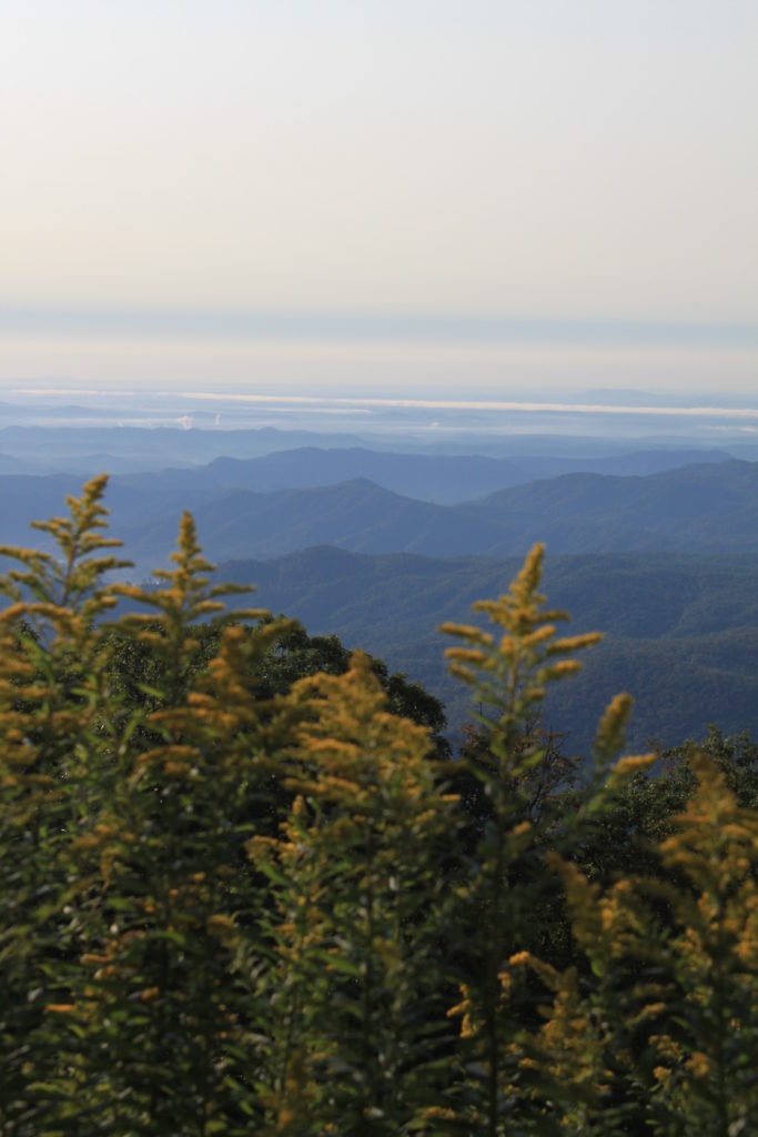 Fraser Ridge Nc Map - Oconto County Plat Map