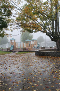 maples in Memorial Park in fall