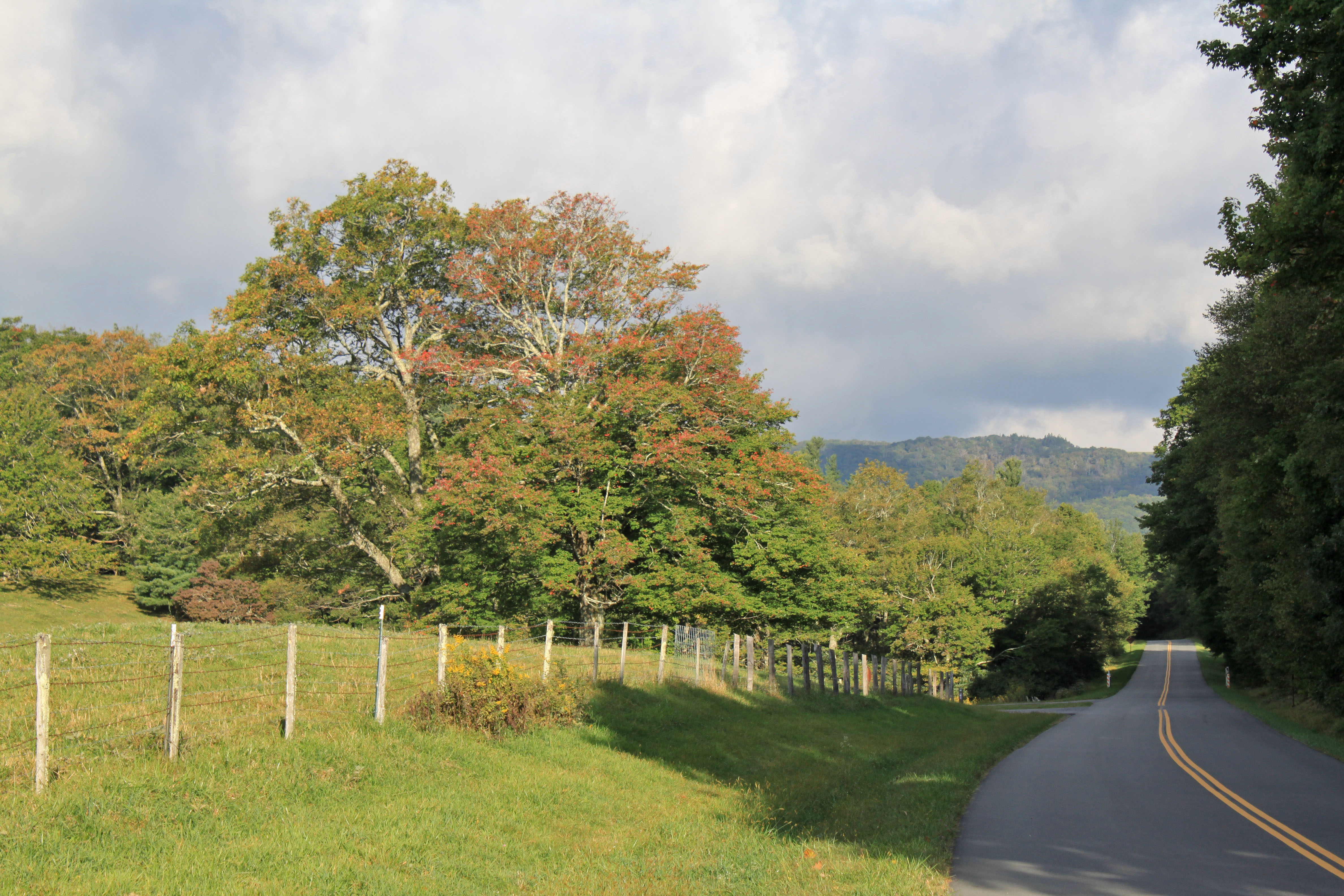 Green Hill at Blue Ridge Parkway