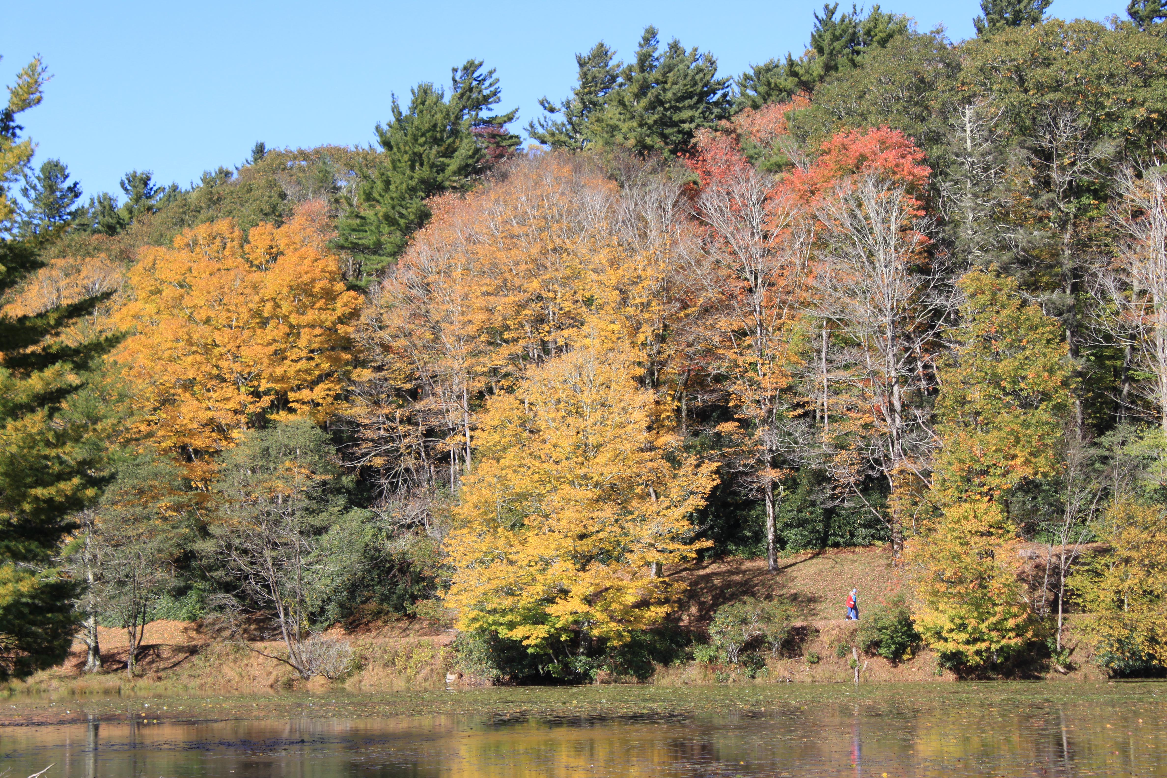 Bass Lake North Carolina Blowing Rock