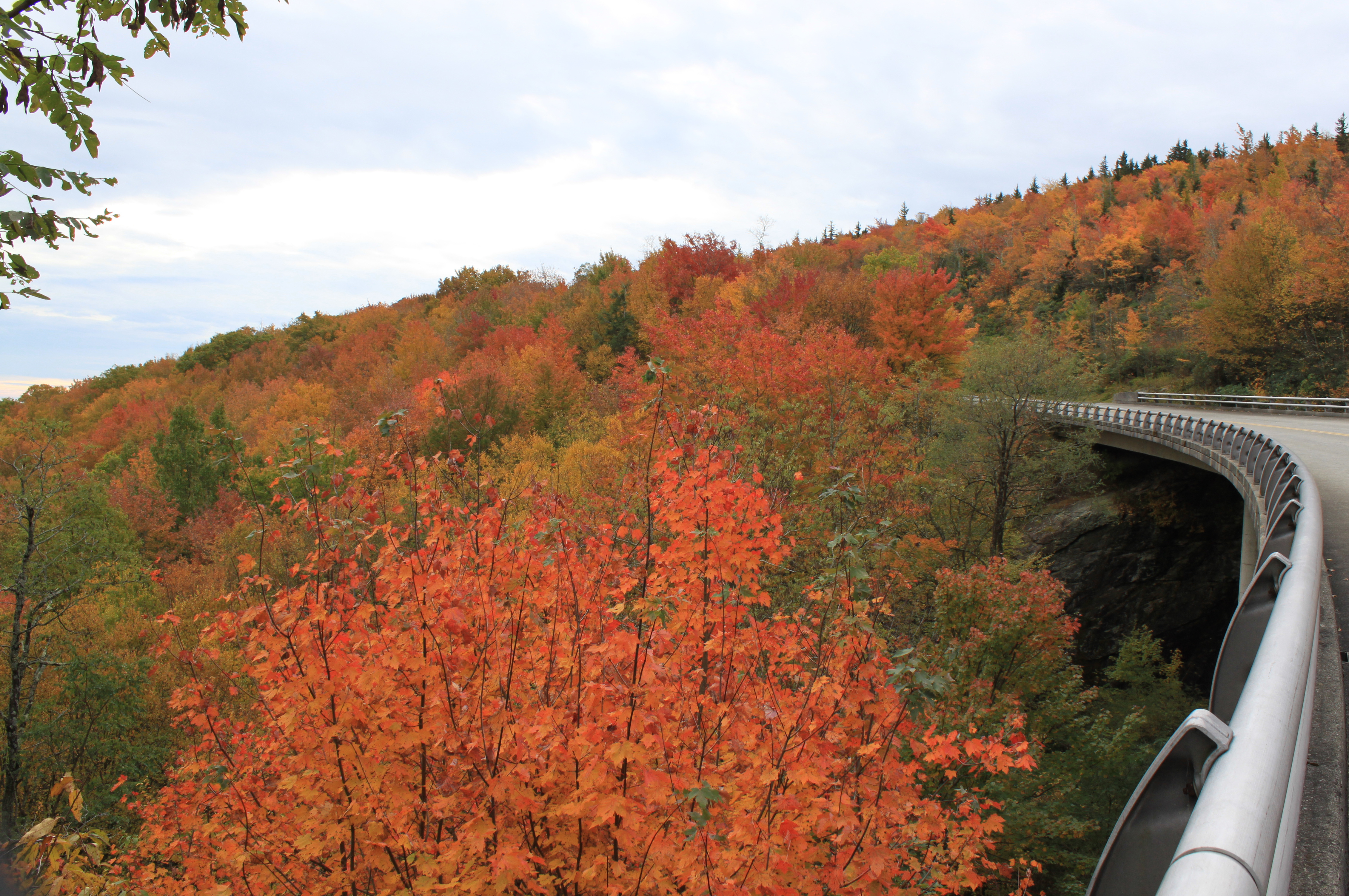 parkway bridge fall