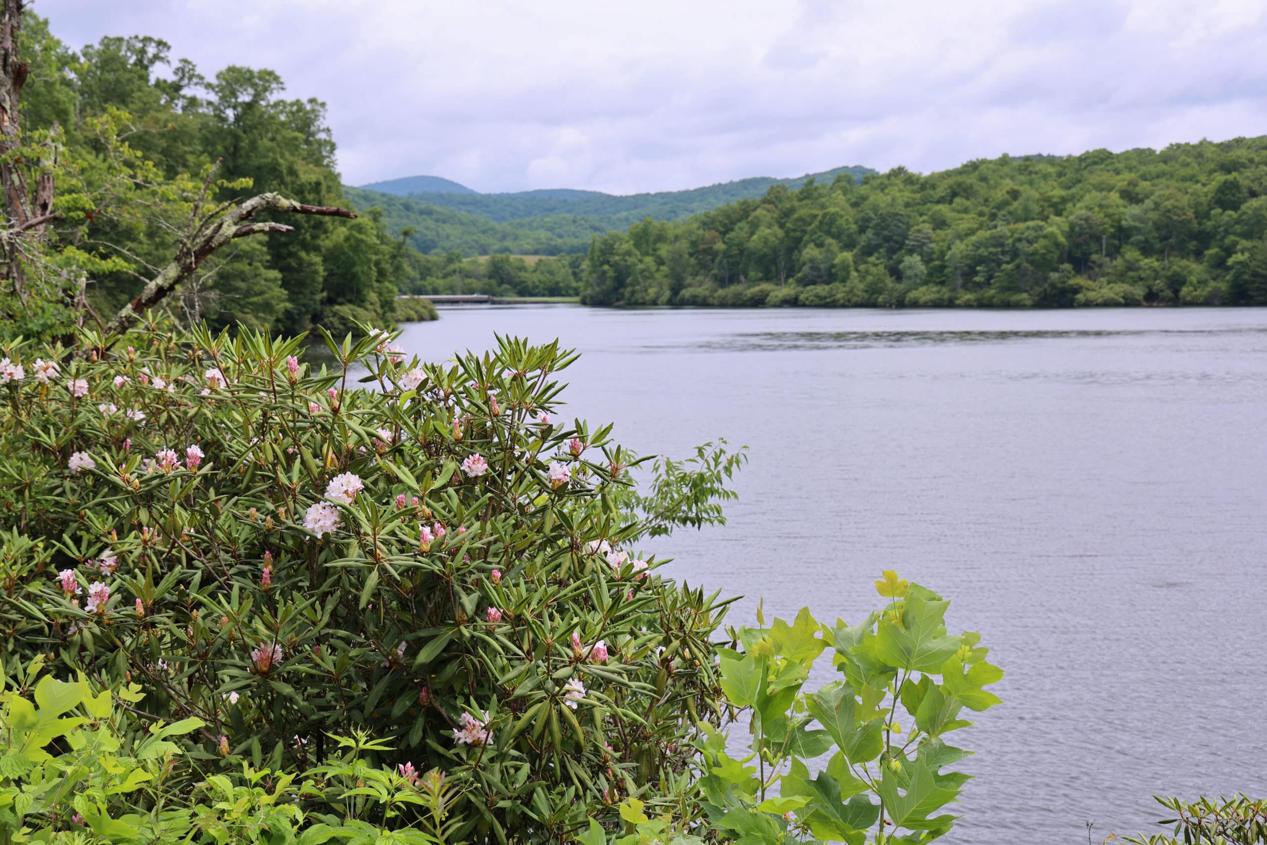 price lake in summer