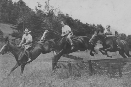 blowing rock charity horse show