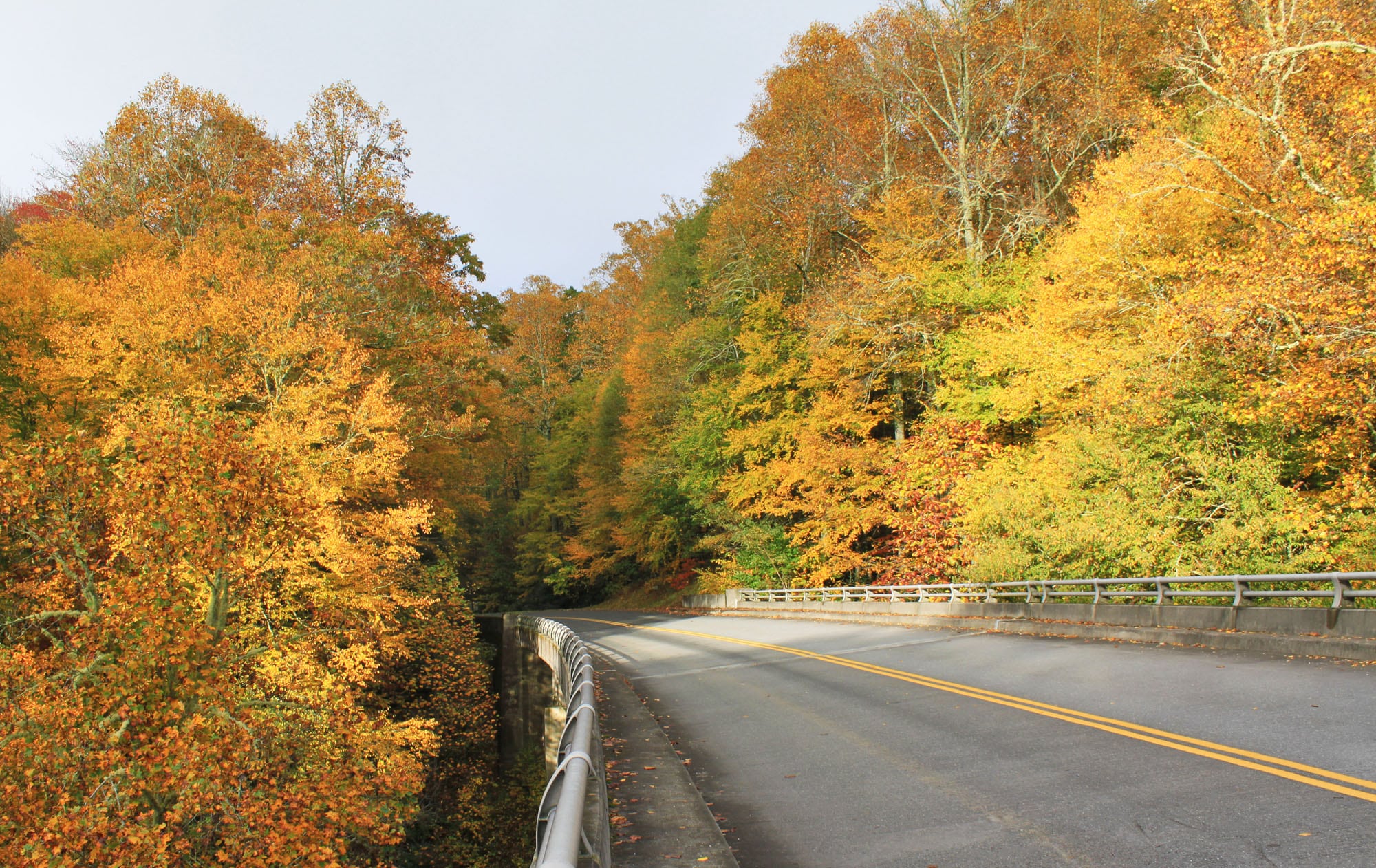 MP 295.3 – Sims Creek Overlook & Green Knob Trail