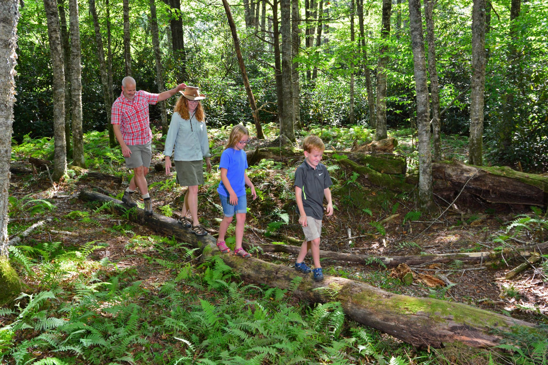 boone fork trail