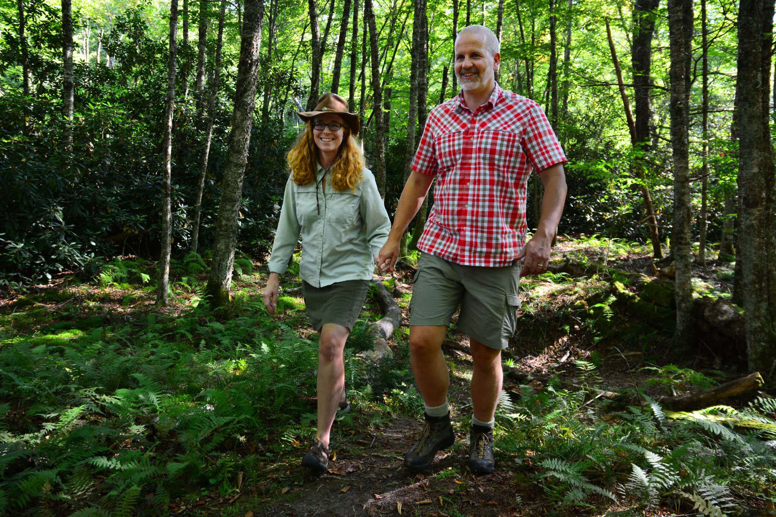 MP 296.5 – Boone Fork Trail & Falls