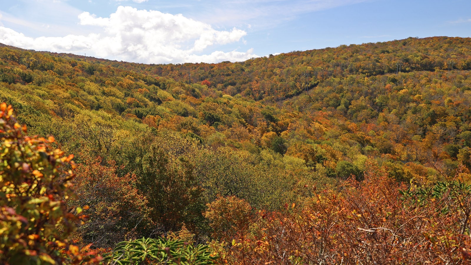 view from sunset park on Beech Mountain