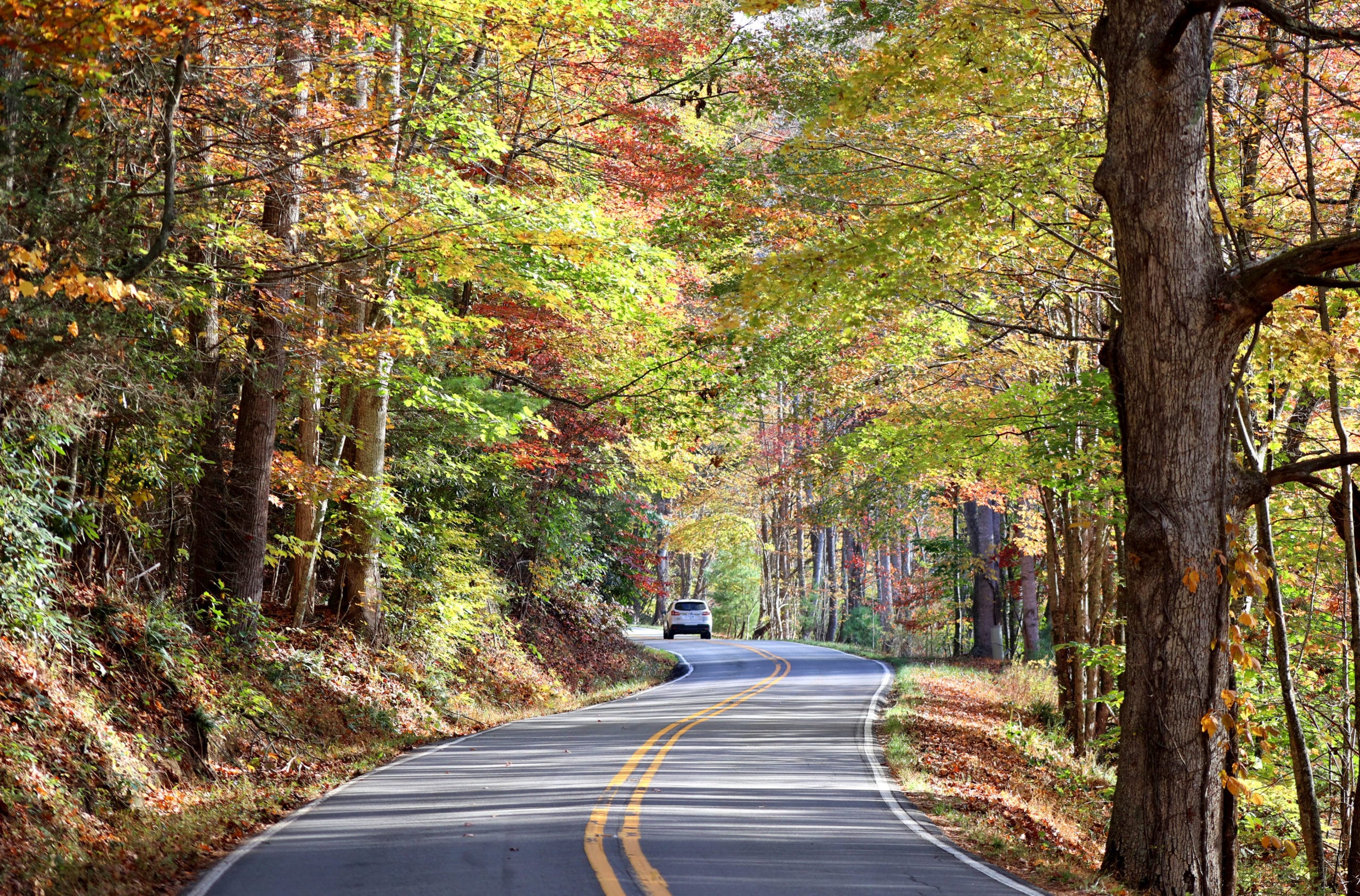 view from sunset park on Beech Mountain