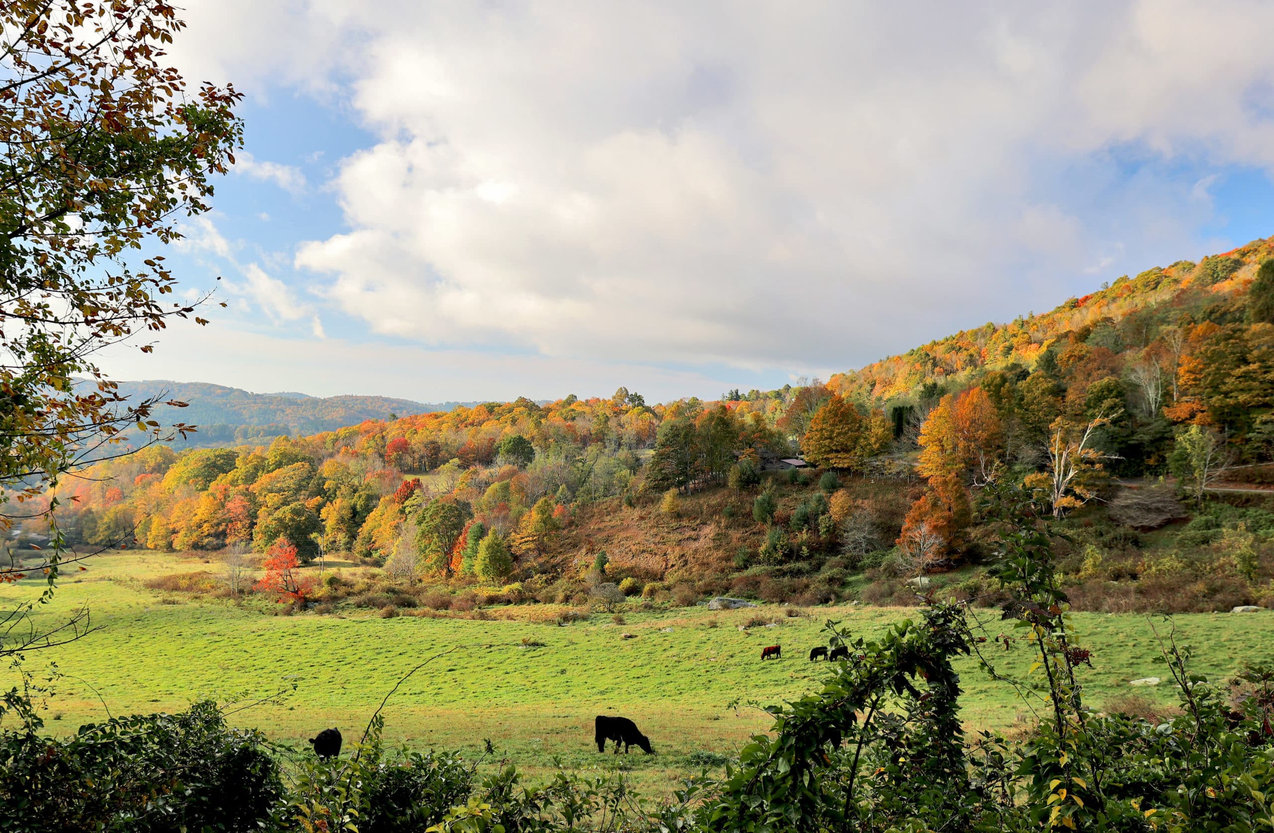 Price Park near Blowing Rock