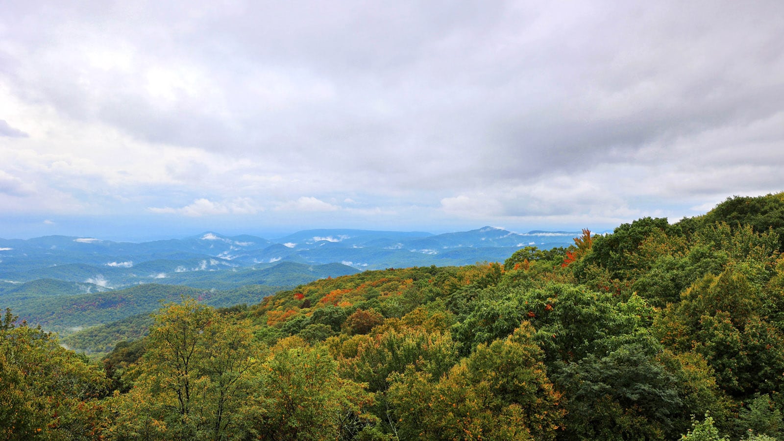 Hiking Trails