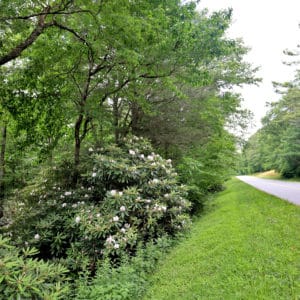 Blue Ridge Parkway near Blowing Rock