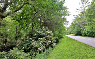 Improvement Projects on the Blue Ridge Parkway