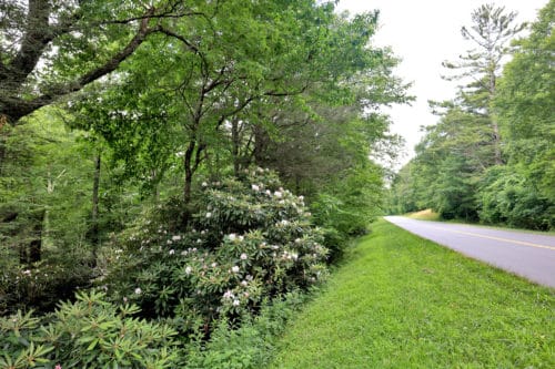 Blue Ridge Parkway near Blowing Rock