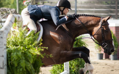 Spectator’s Guide to the Blowing Rock Charity Horse Show