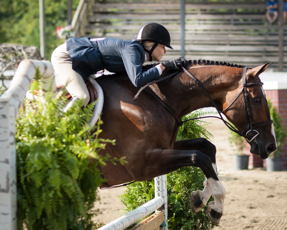 Spectator's Guide to the Blowing Rock Charity Horse Show ⋆ Blowing Rock