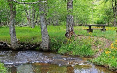 8 Fun Picnic Spots in Blowing Rock