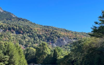 Fall Color Update: September 23, 2022