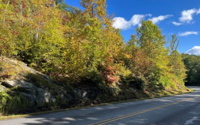 Fall Color Update: September 26, 2022