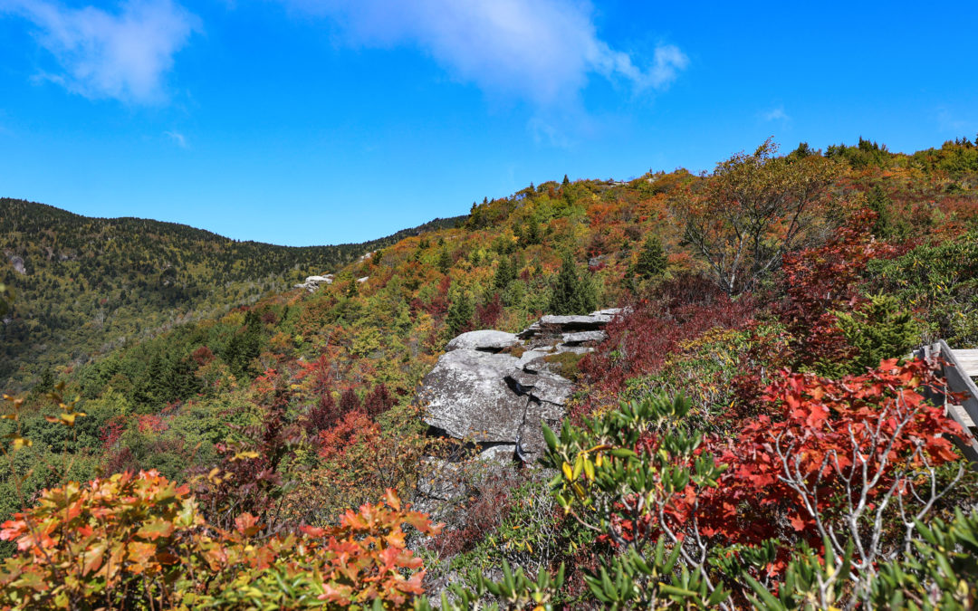 Fall Color Update: October 3, 2022
