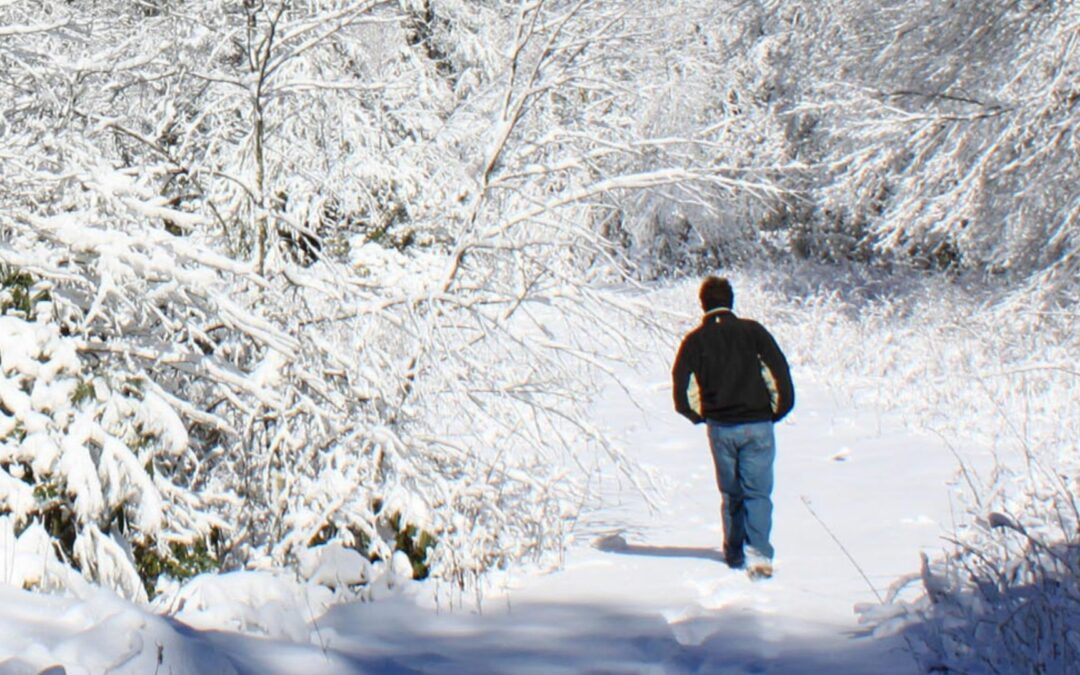 Winter Hiking