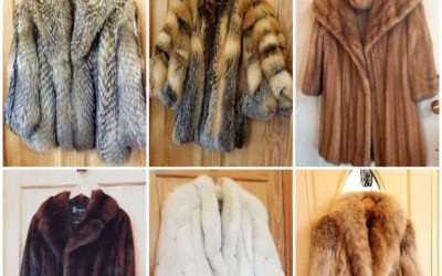 Luxury Fur Coats at Village Thrift