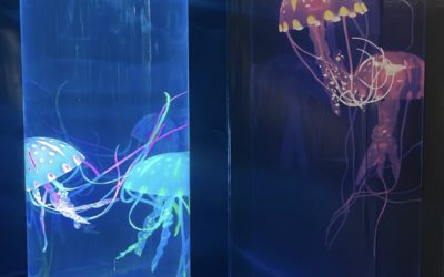 Electric Jellyfish Mood Light at Serves You Right!
