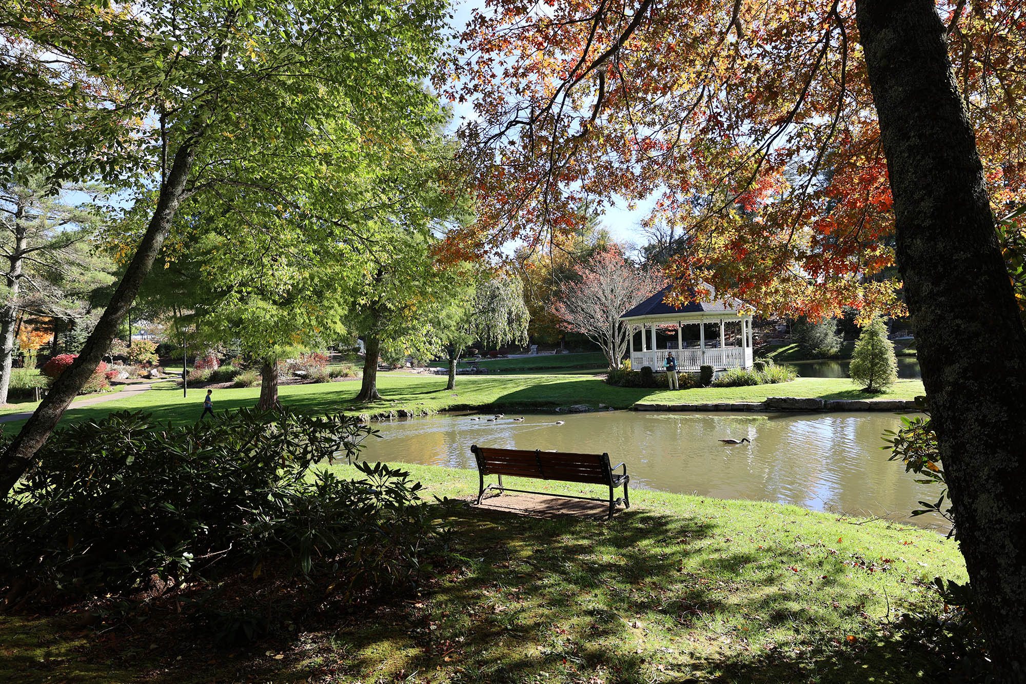 blowing rock tour of homes