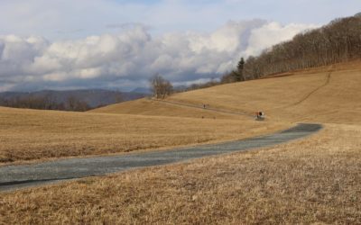 Trails We Took in January