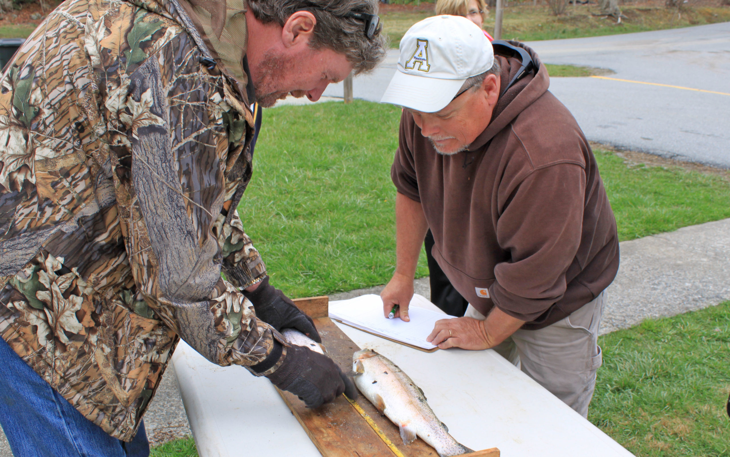 Two Derby officials measure a fish along a tape measure at a table set in the grass.