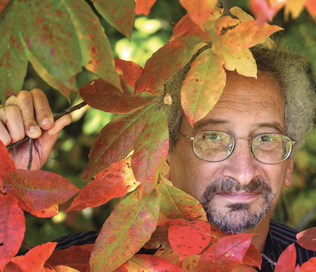 The Natural History and Science of Fall Leaf Colors at BRAHM