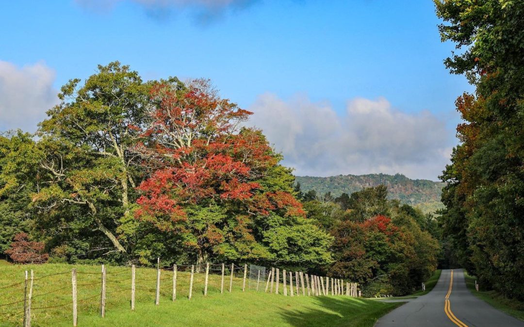 Why Blowing Rock is Great for Leaf Viewing