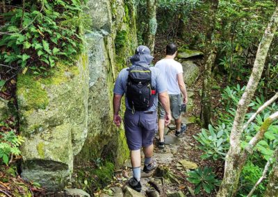 Two men, one wearing a daypack, walk alongside a natural rock wall over large tree roots