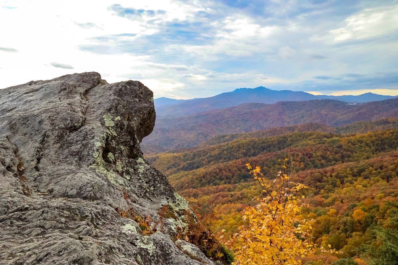 Fall Color Update: October 31, 2023 ⋆ Blowing Rock
