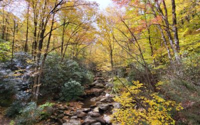 Trails We Took in October