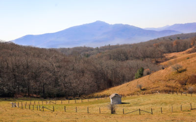 Trails We Took in November