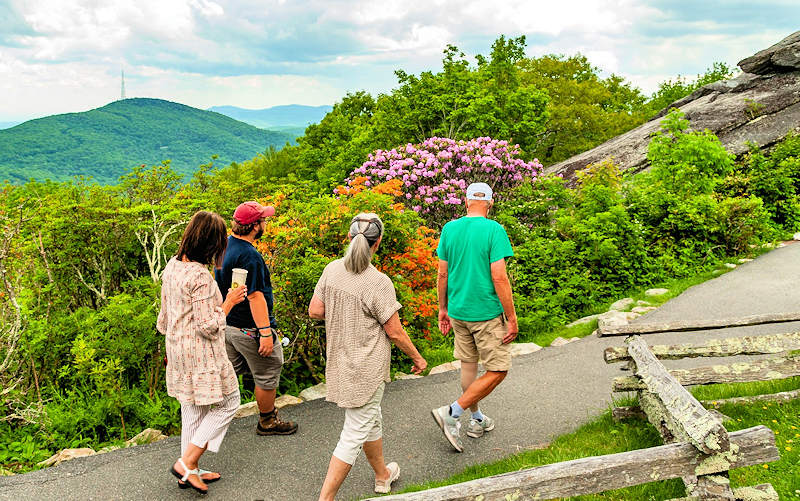 Rhododendron Rambles at Grandfather Mountain