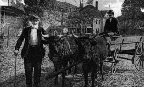 History photo from circa 1910 showing a man, oxen and a cart in downtown blowing rock