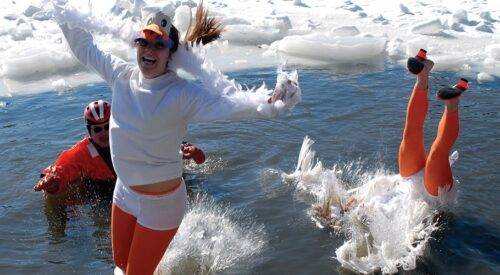 Blowing Rock WinterFest Polar Bear Plunge Event photo featuring women in duck costumes jumping in icy water