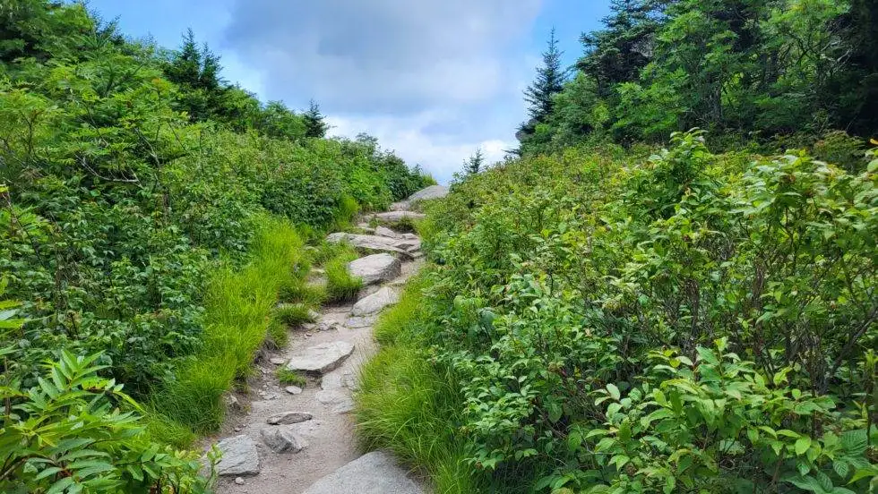 Blowing Rock is a NC Trail Town