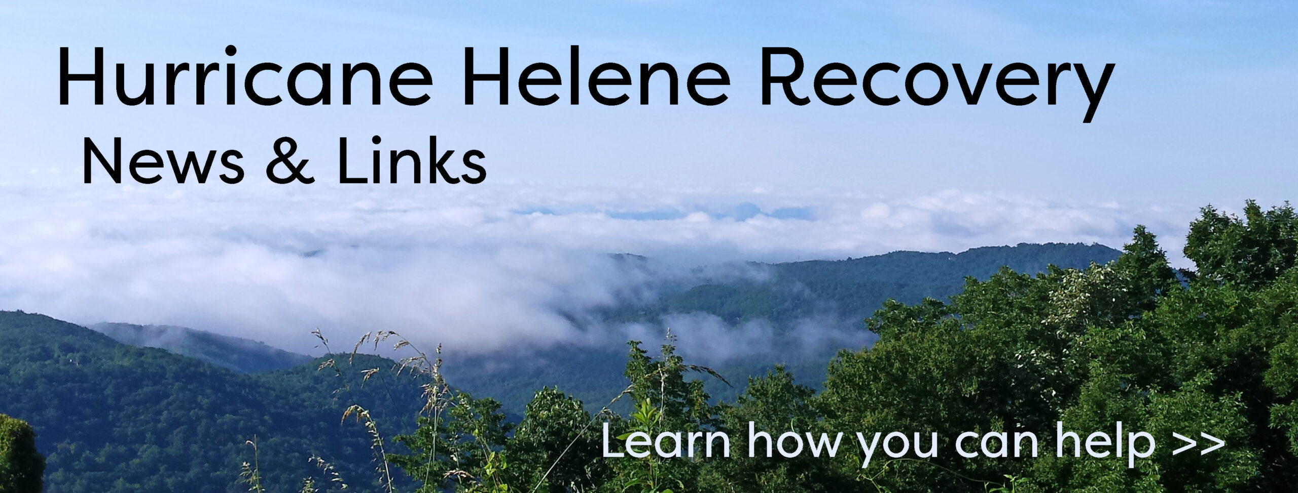 link to hurricane helene recovery assistance info