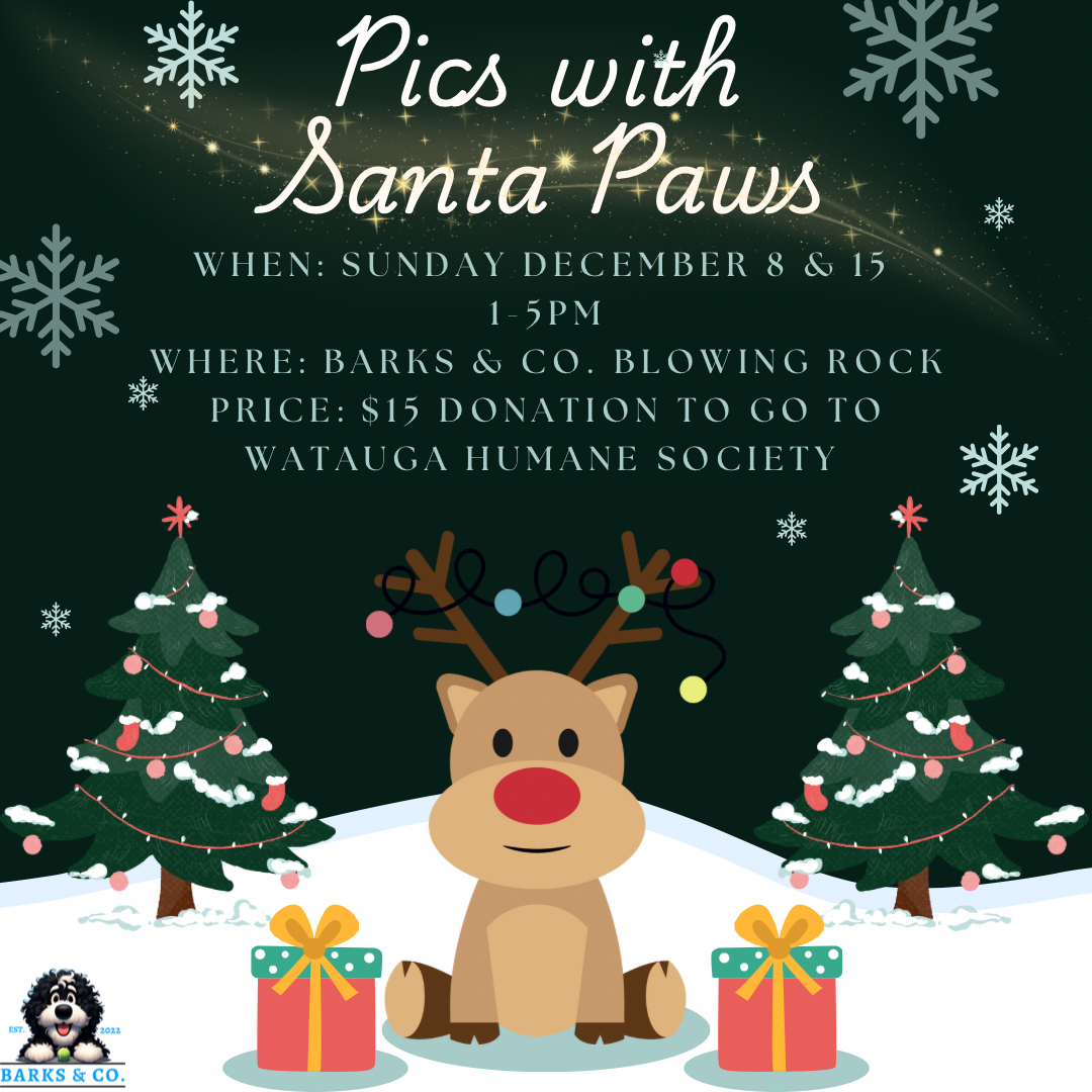 Pictures with Santa Paws at Barks & Co.