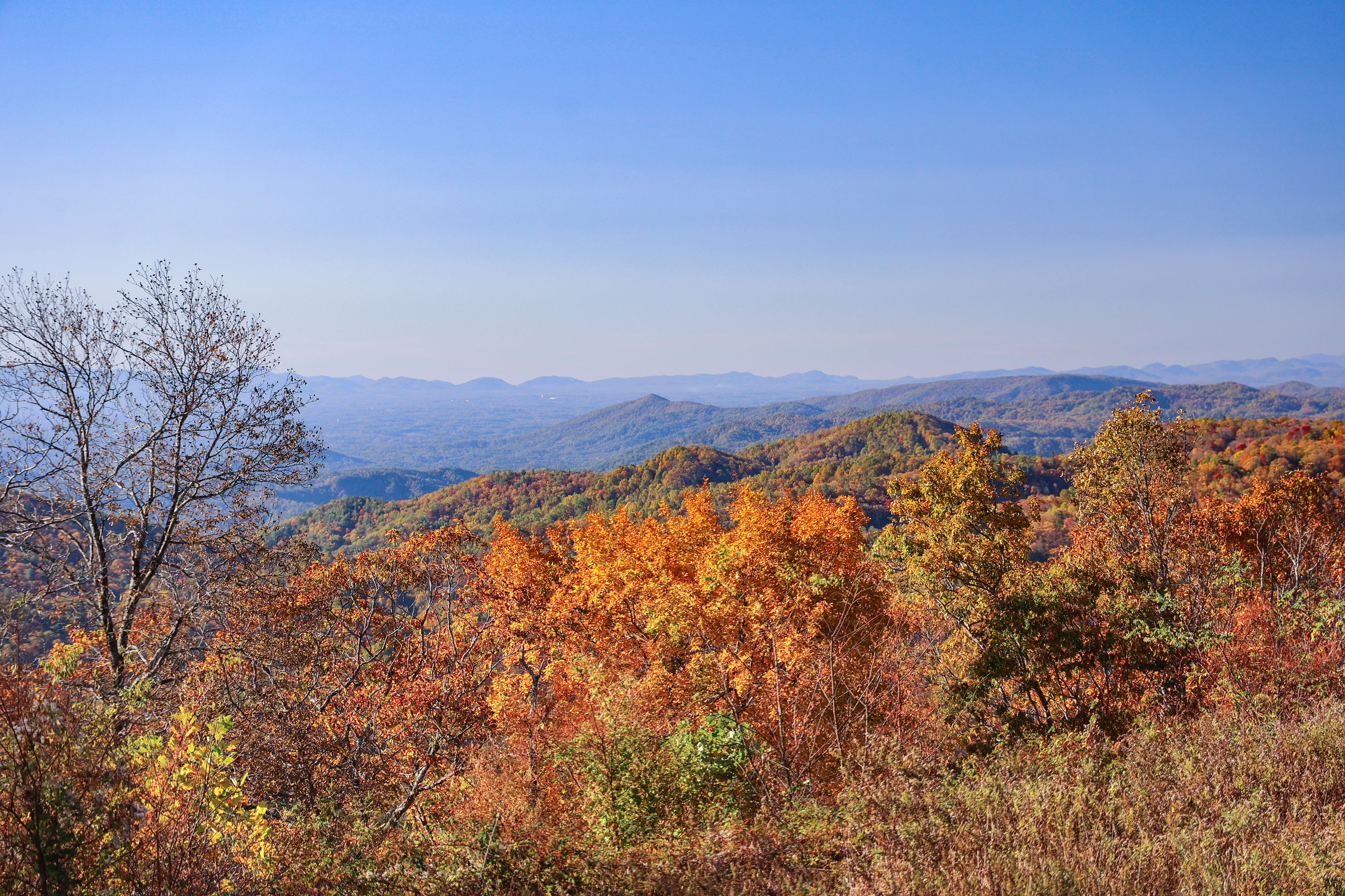 Fall Color Update: October 30, 2025