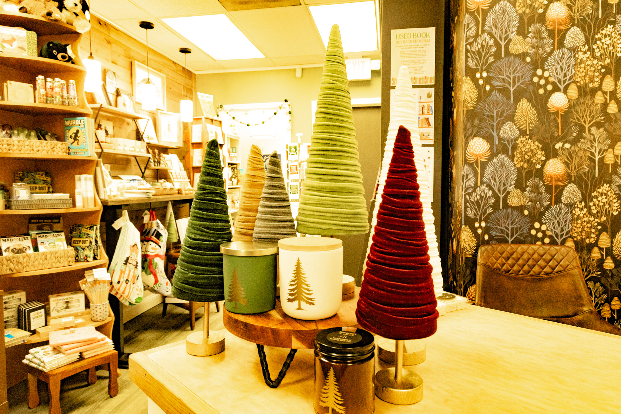 Evergreen Candles at FireLight Book & Candle