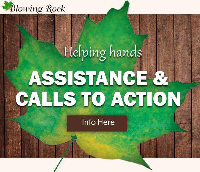Local Assistance