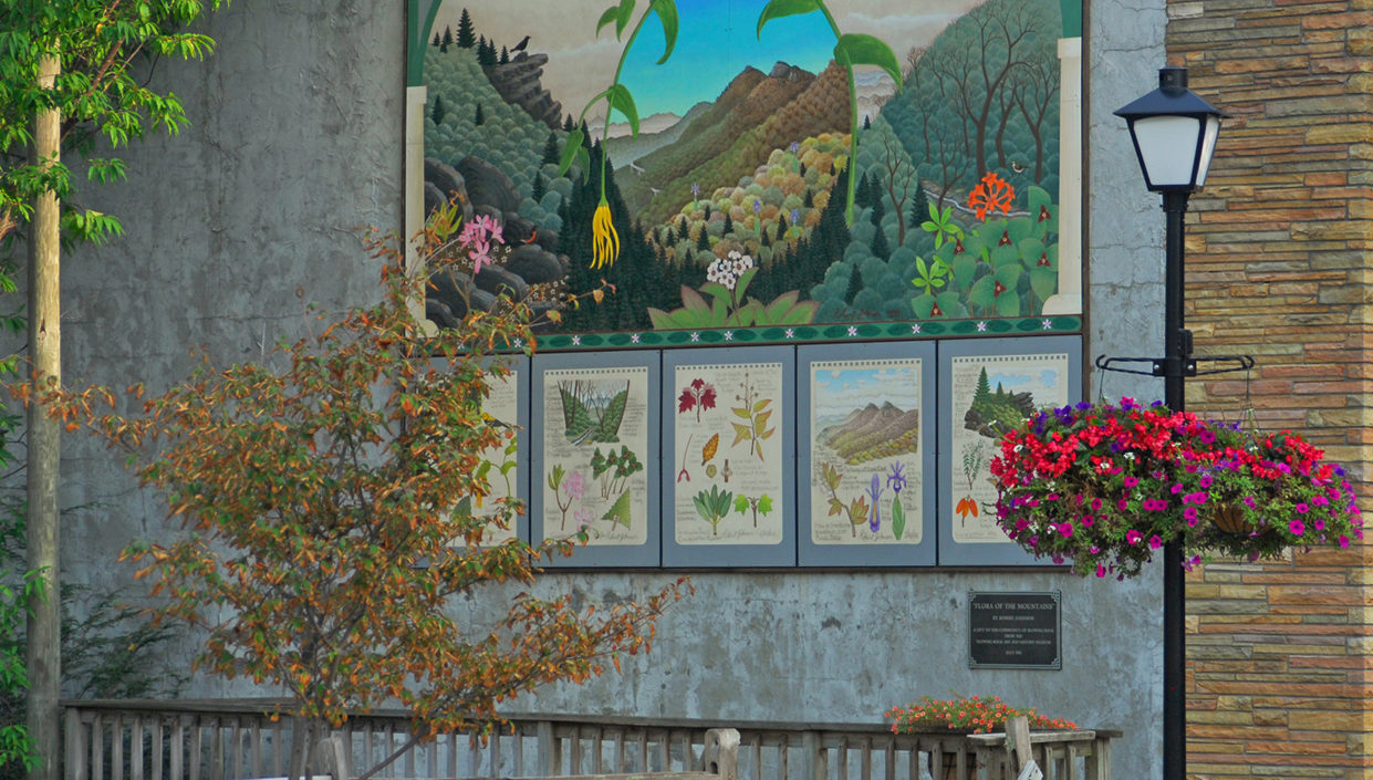 Mural depicting local plants on a wall in town, surrounded by flowers.