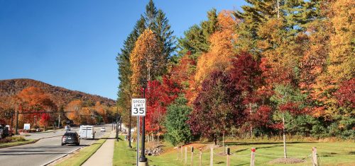 Fall Color Update: October 17, 2025