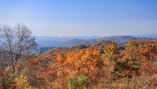 Fall Color Update: October 30, 2025